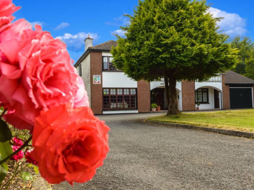 Killowen House B&B Ντρογκέδα Εξωτερικό φωτογραφία