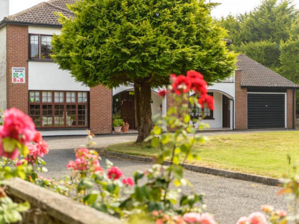 Killowen House B&B Ντρογκέδα Εξωτερικό φωτογραφία